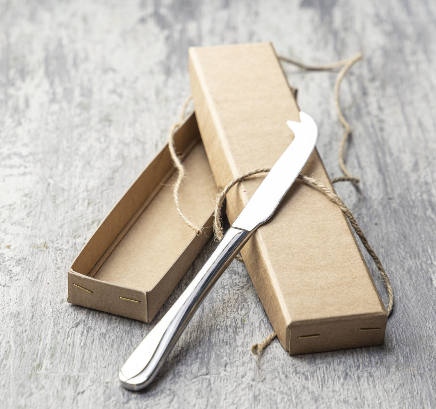 The SLATED Cheese Knife